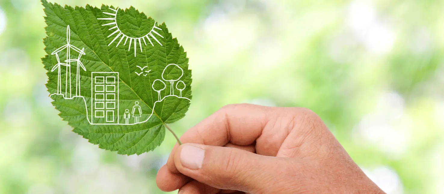 Hand holding a green leaf, ecology, sustainability