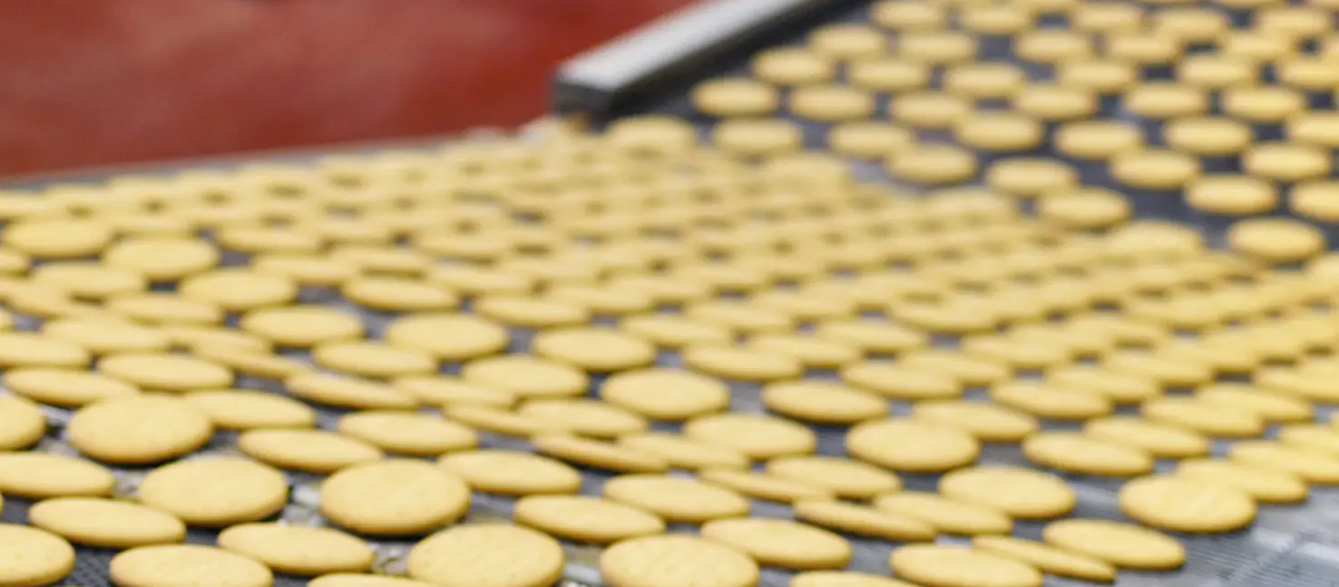 Floor coating Industrial construction Beverage industry Food industry