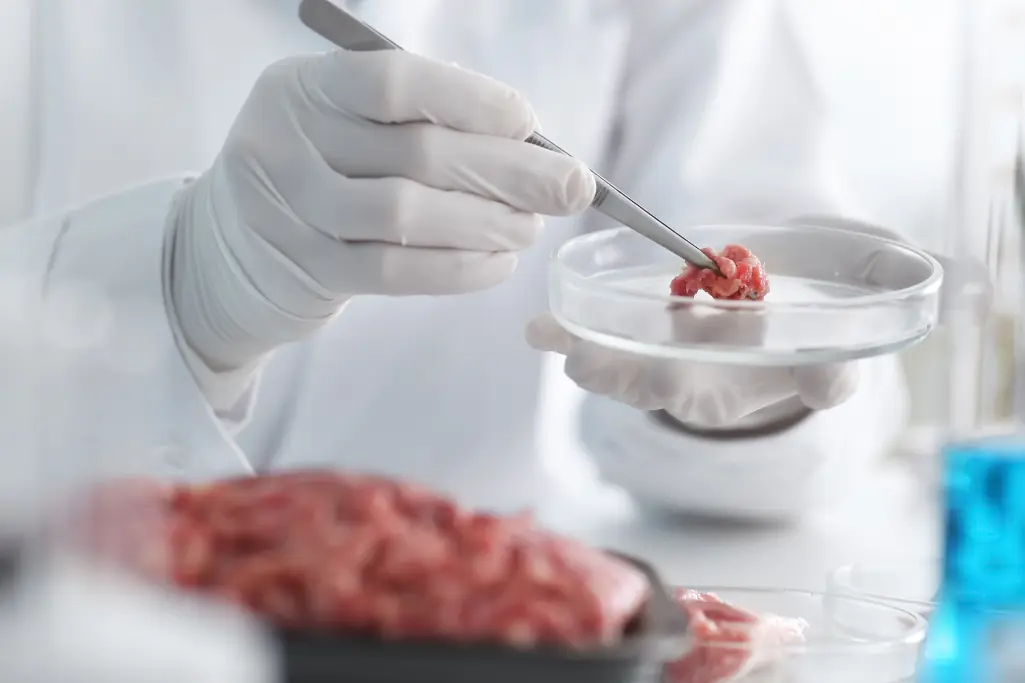 Floor coating, food, foodstuffs, industrial construction, hygiene