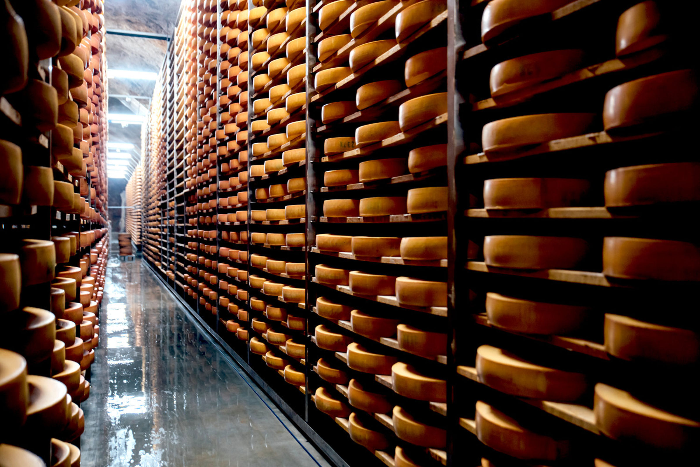 Hygiene and cleanliness have top priority in dairies and cheese dairies.