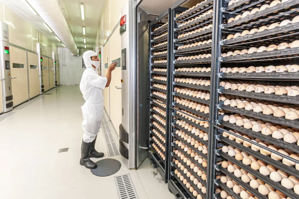 Coating systems for the food industry - reliable, high-performance and durable