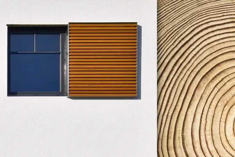 Collage: wooden window on the left, tree trunk on the right: sustainably insulated with StoTherm Wood