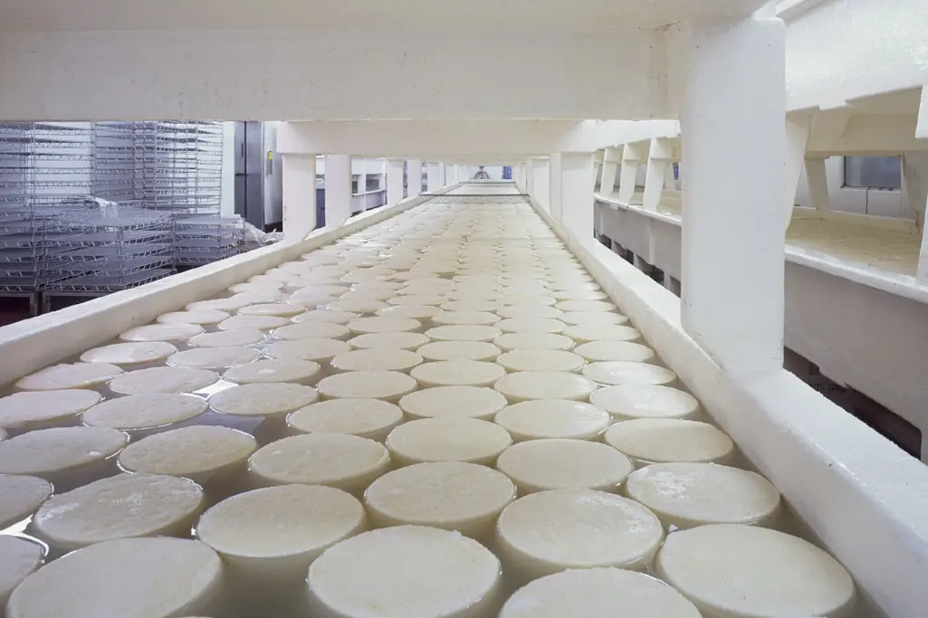 Floor systems for the food industry