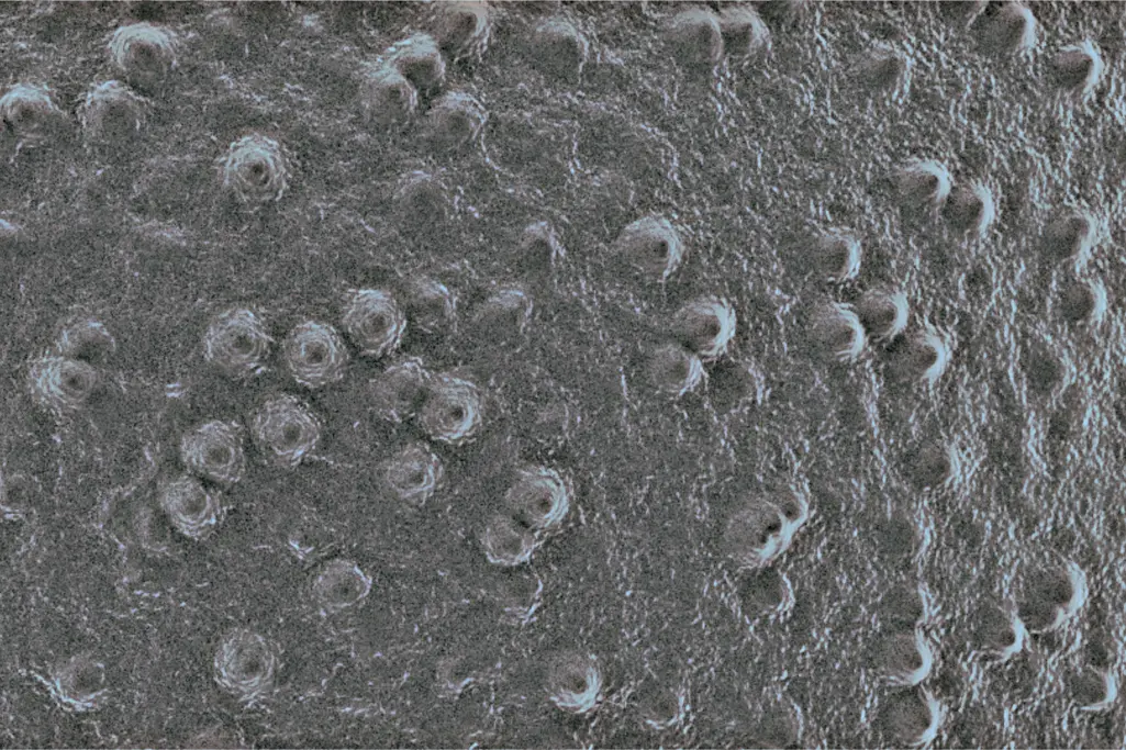 Bionic solutions for concrete structures