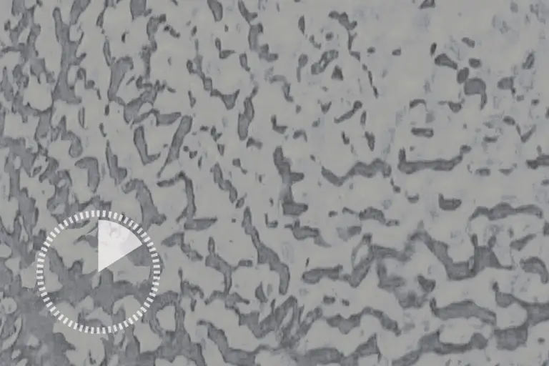 Surface protection with Dryonic technology