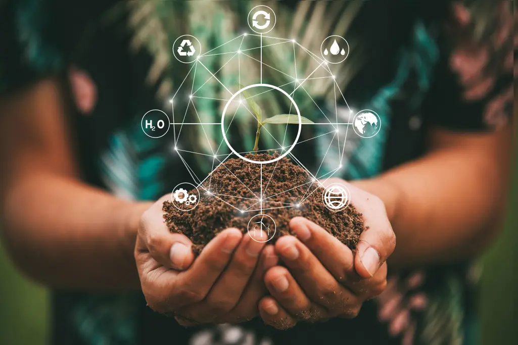 Two hands hold a tree plant with soil, sustainability and CSR