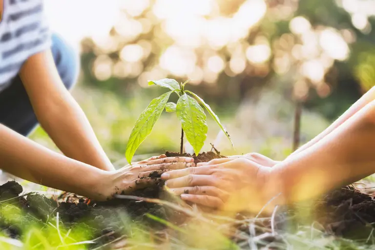 Ecological sustainability is a key question