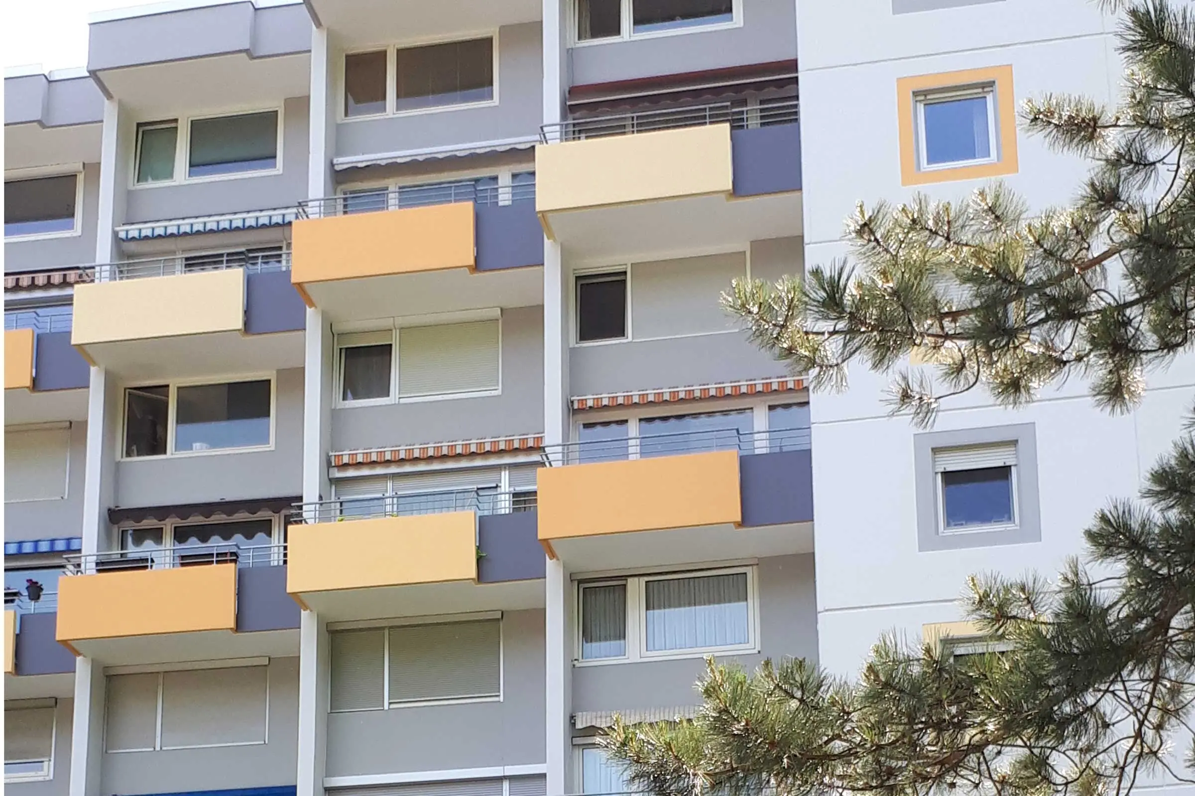 20190604_104858a_2400_1600