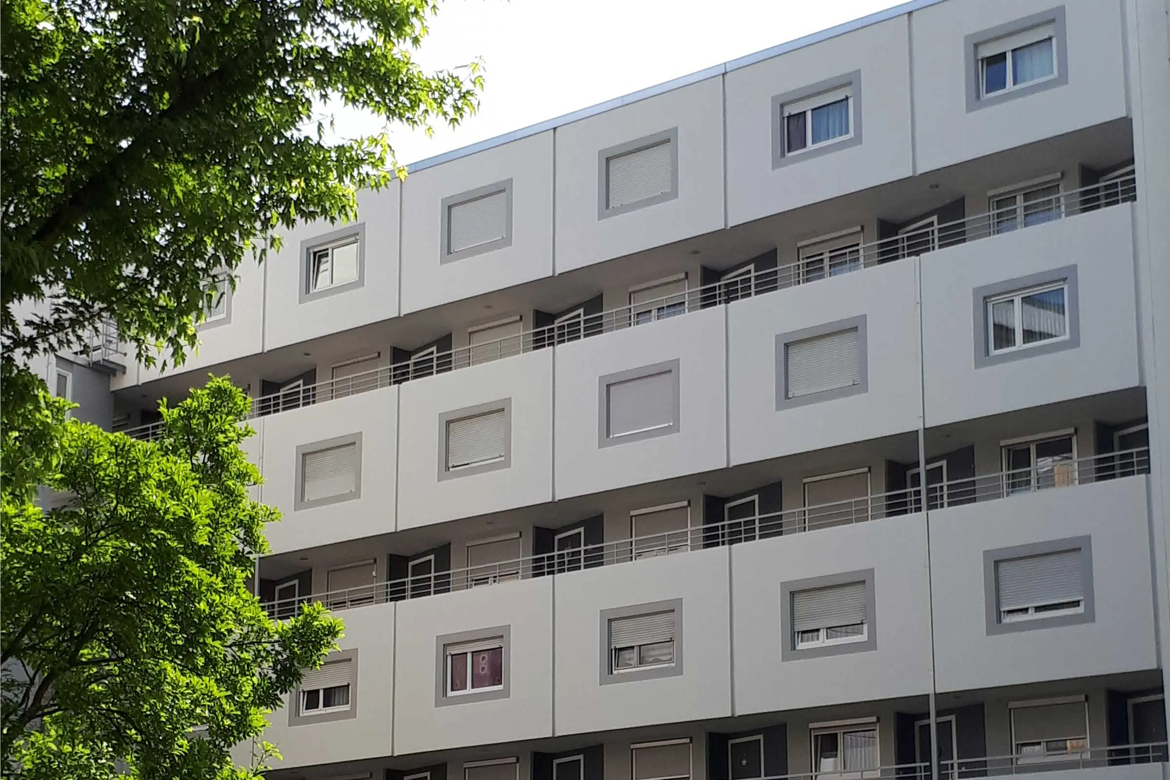 20190604_104923_2400_1600