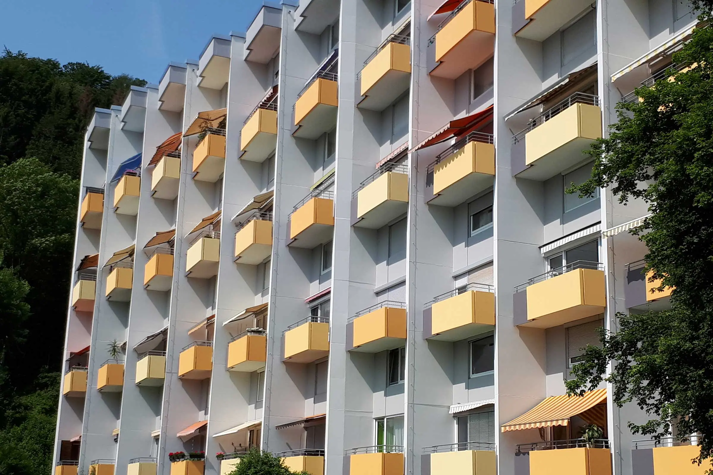 20190604_105115_2400_1600