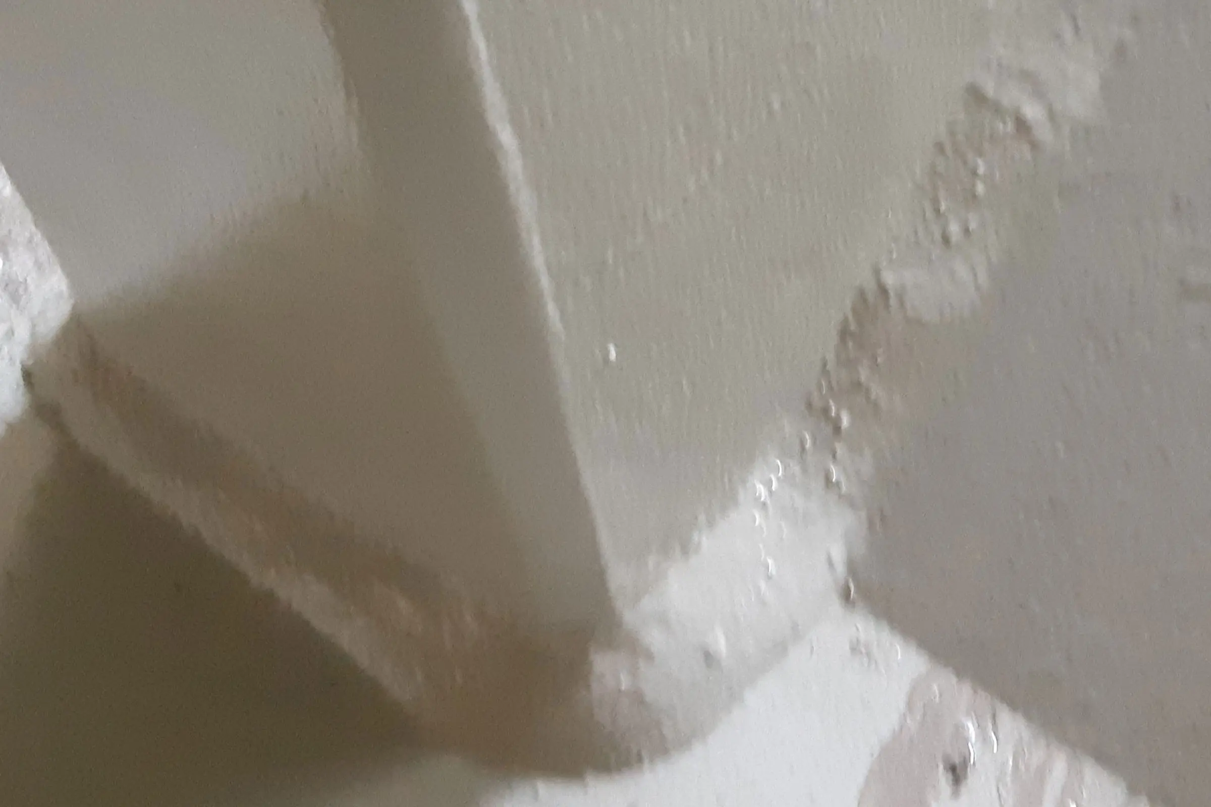 20191029_132745a_2400_1600