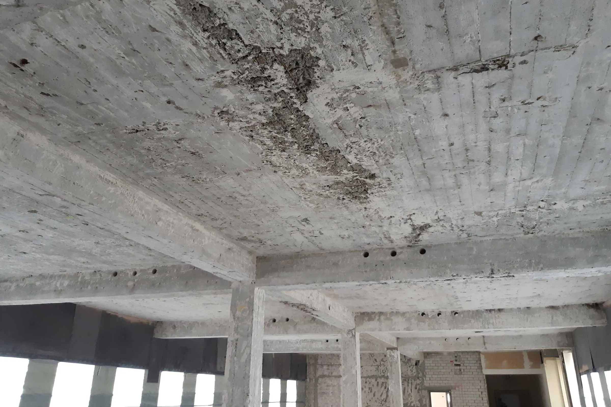 img_20210812_133310_2400_1600