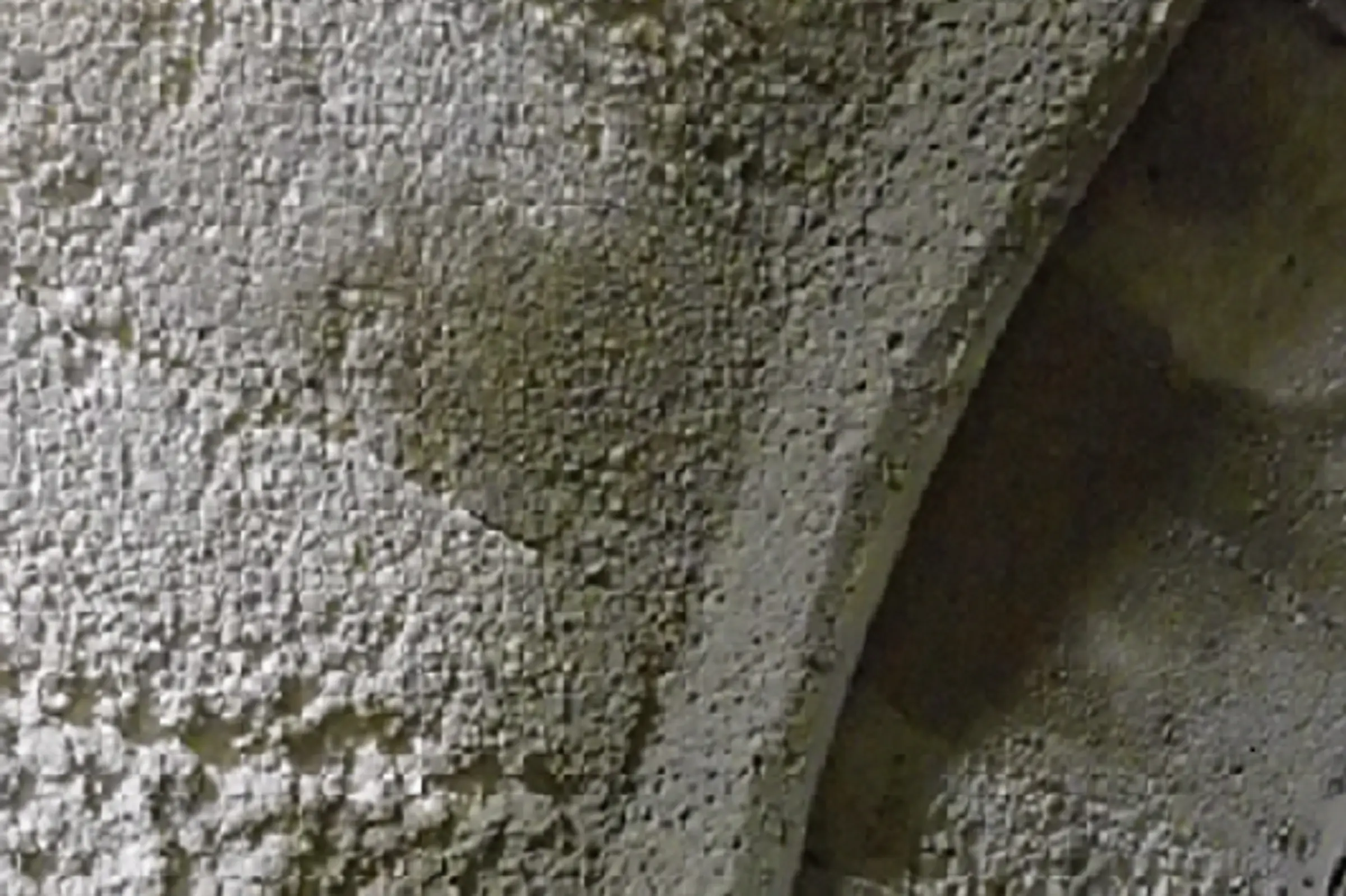 2022_05_20_bruchgraben03_2_600