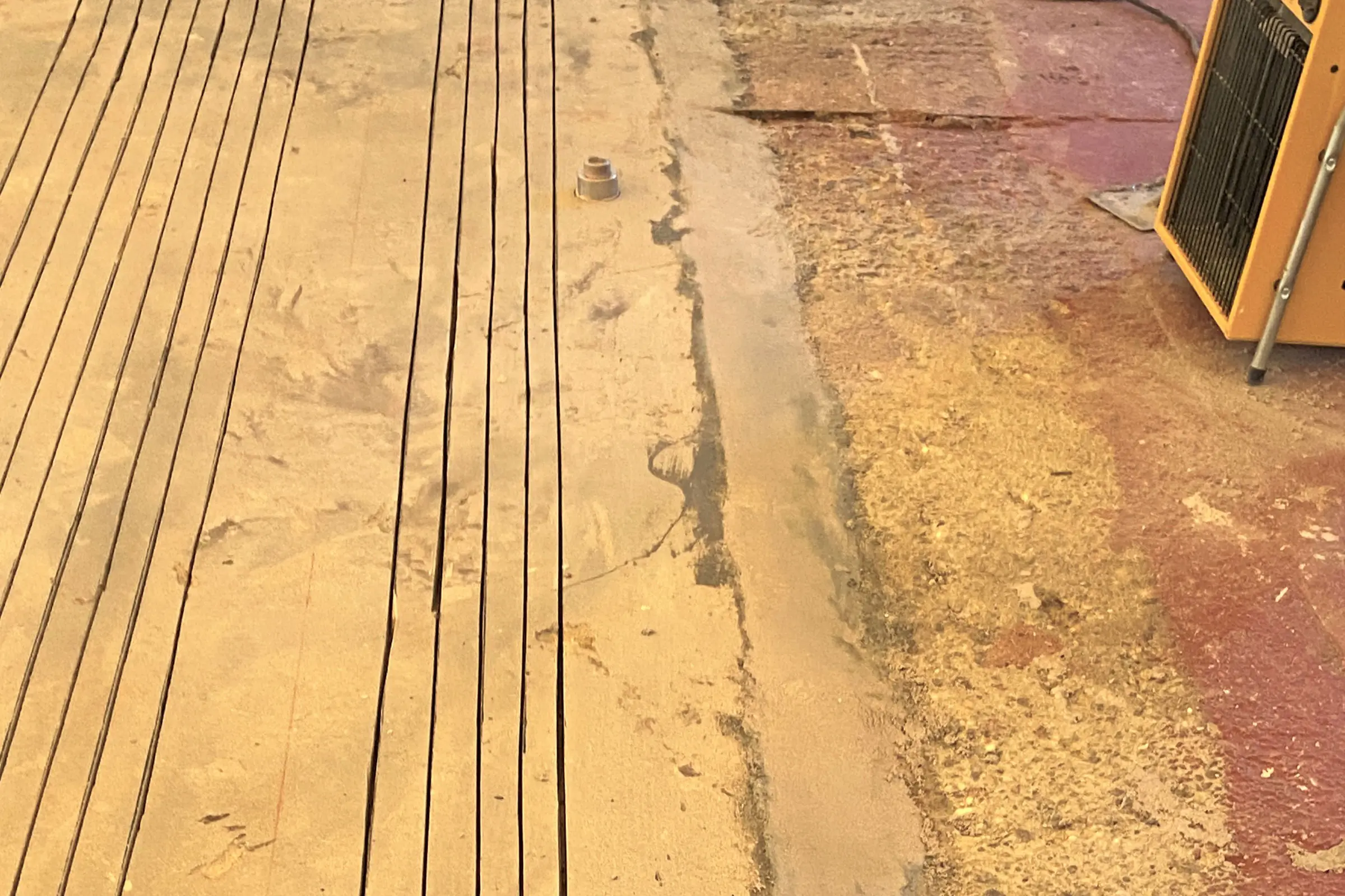 20230328_060922473_ios_2400