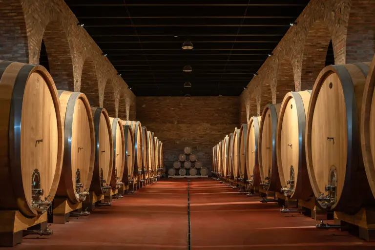 Wine cathedrale