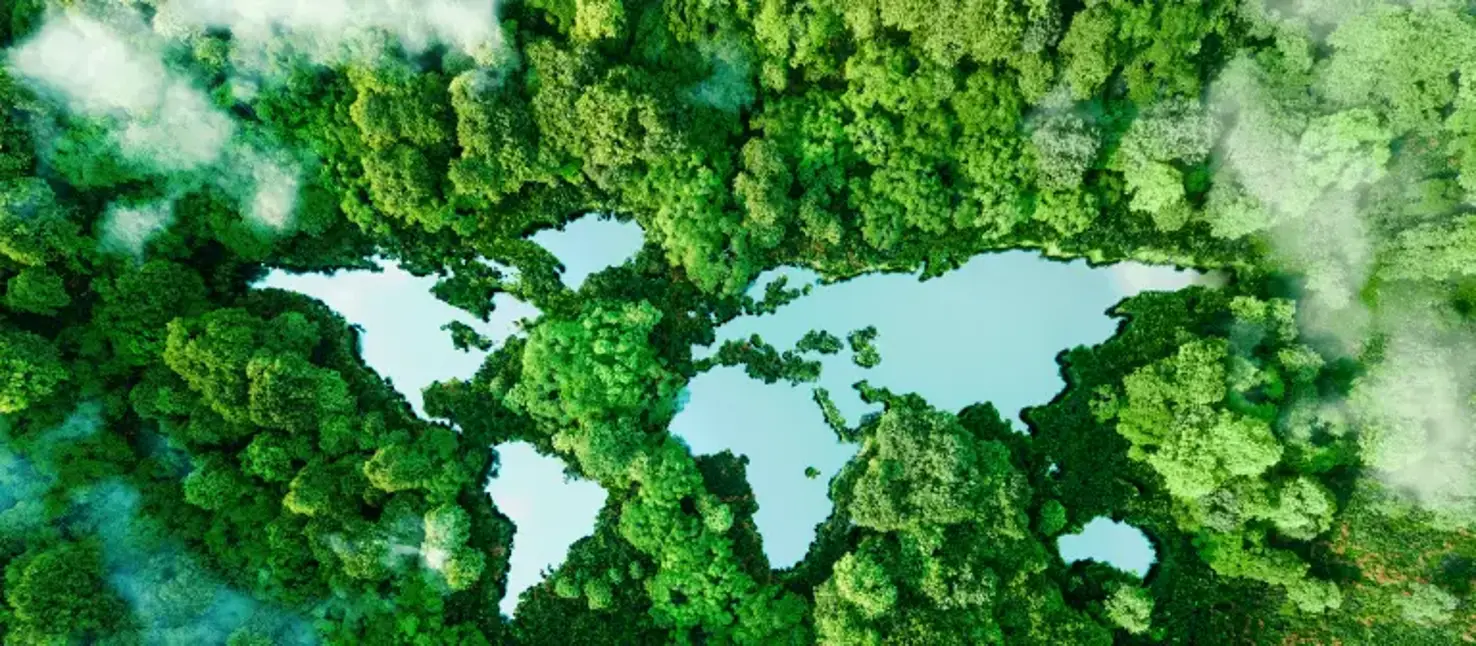 Consultation, partnership: StoCretec system consultants and craftsmen on the construction site